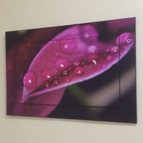 A close up of the water drops on a leaf